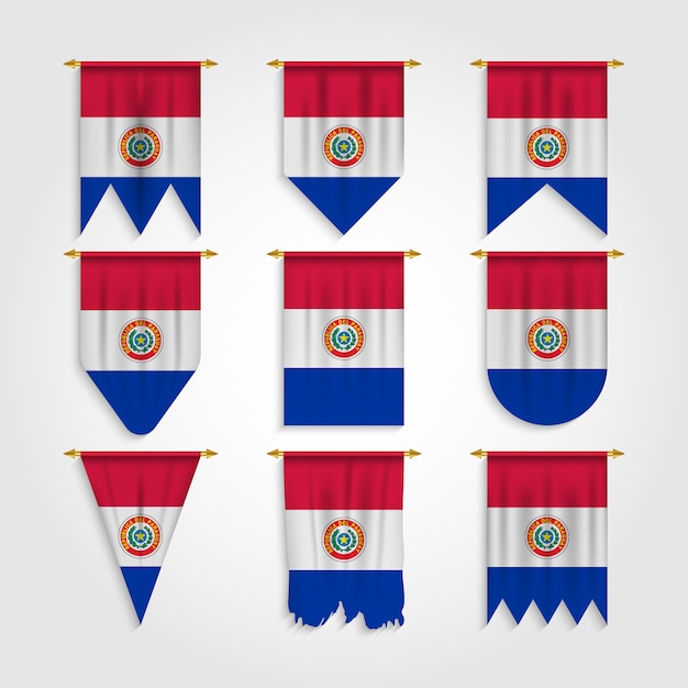 Vlag van Paraguay in verschillende vorm