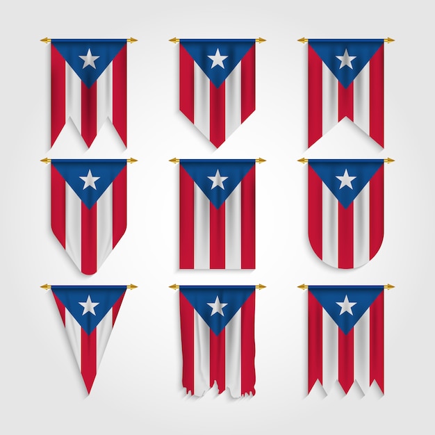 Vlag van Puerto Rico in verschillende vormen