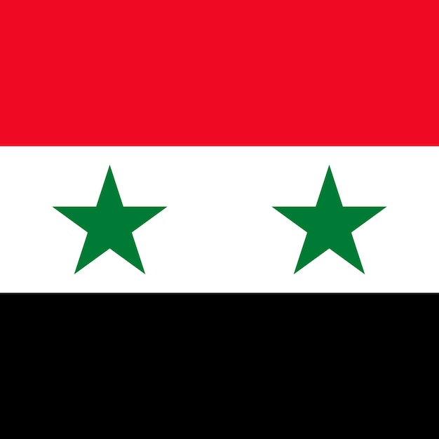 Vlag van Syrië officiële kleuren Vectorillustratie