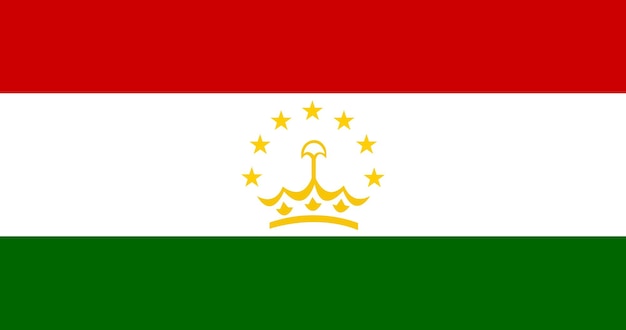 Vlag van Tadzjikistan in vector