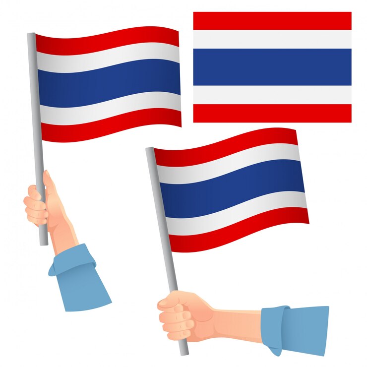 Vlag van Thailand in de hand ingesteld