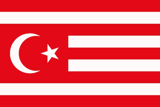 Vlag van Turkestan