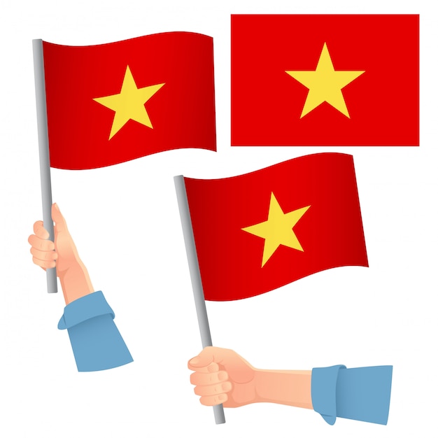 Vlag van Vietnam in de hand set