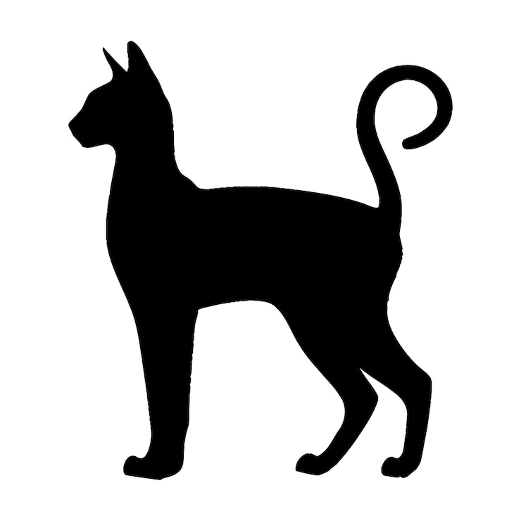 Vector vlak ontwerp vectorillustratie van het silhouet van een kat op een witte achtergrond