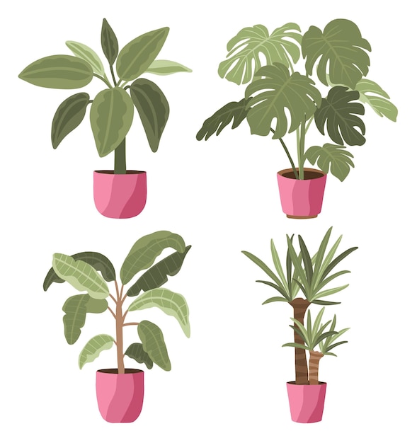 Vector vlakke stijl trendy grote pot tropische planten illustraties met roze potten