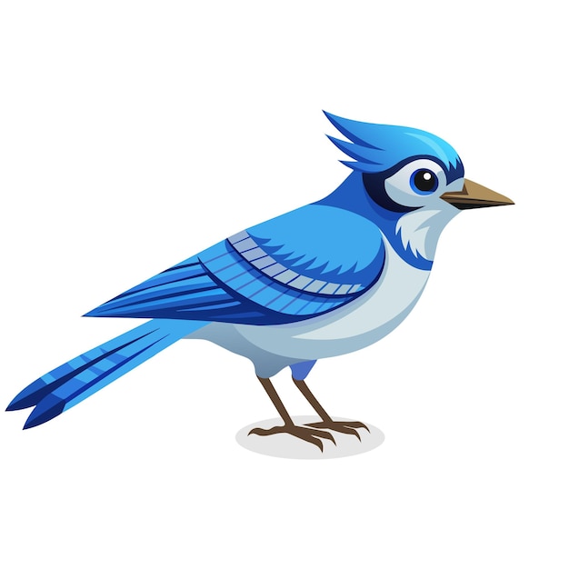 Vlakke vectorillustratie van Blue Jay Bird