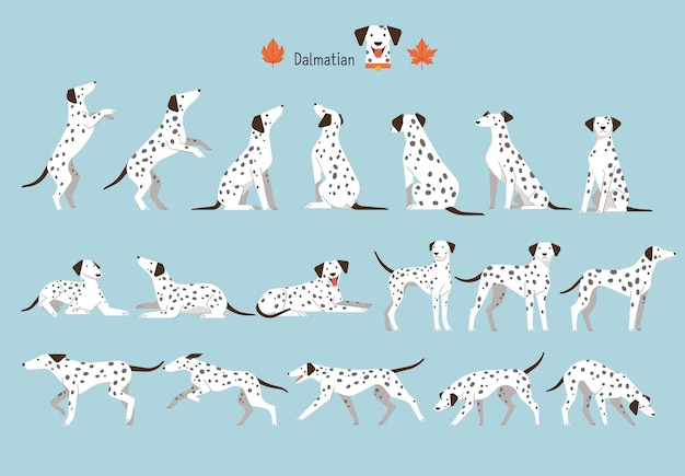 Vector vlakke vectorillustratie van de positie van de dalmatische hond