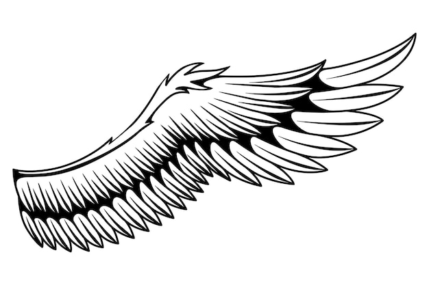 Vector vleugels schets gestileerde vogels vleugels hand getekend voorgevormde stiker vleugel in open positie vector designelementen in kleurstijl