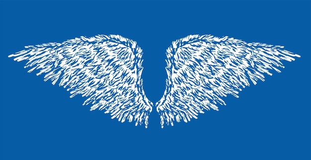 Vector vleugels veren gestructureerd met de hand getekend paar vlucht vrijheid engel vector illustratie blauwe achtergrond