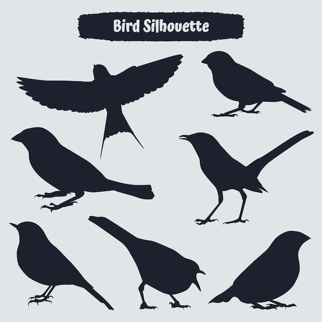 Vliegend ander type vogels silhouet met vleugels