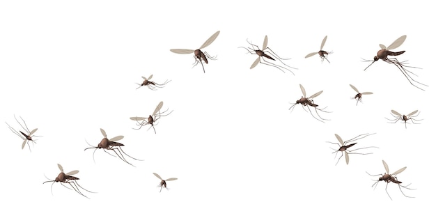 Vliegende muggeninsecten.