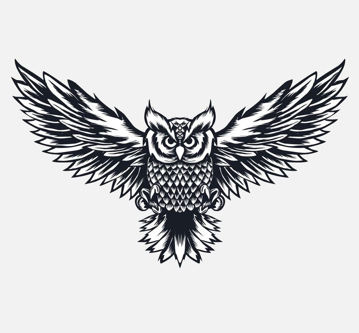 Vliegende uil vogel illustratie