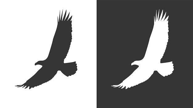 Vliegende vogel Vliegende adelaar silhouet Vogel silhouet vectorillustratie geïsoleerd op wit