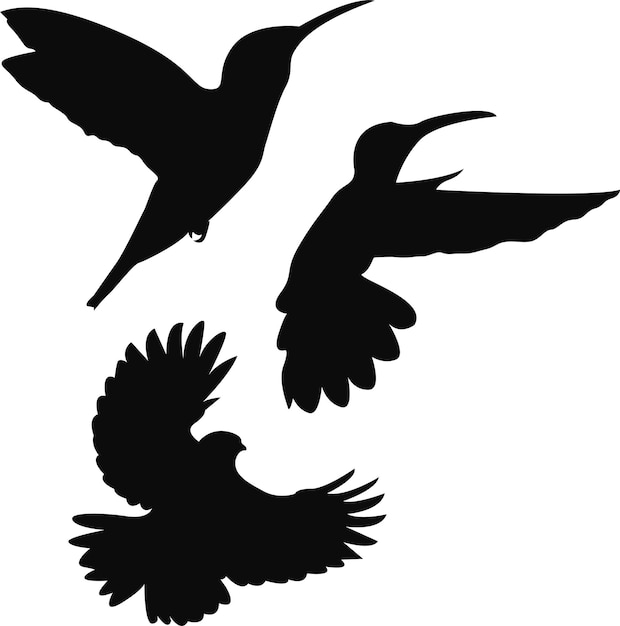 Vliegende vogels silhouetten