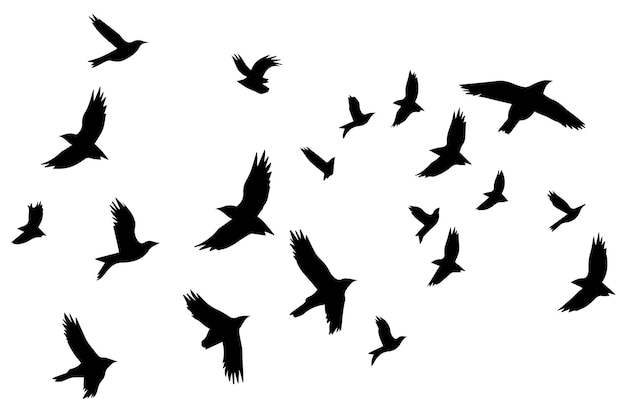 Vliegende vogels zwarte silhouetten set vector