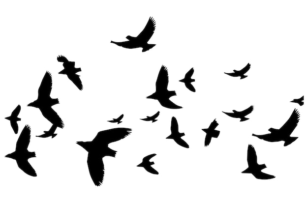 Vliegende vogels zwarte silhouetten set vector