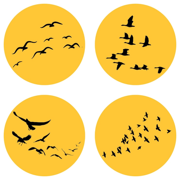 Vector vliegende vogels