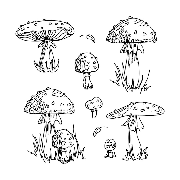 Vliegenzwam amanita niet-eetbare giftige paddenstoel mooie handgetekende grafische schetsillustratie voor stickers, posters, ansichtkaarten, ontwerpelementen: