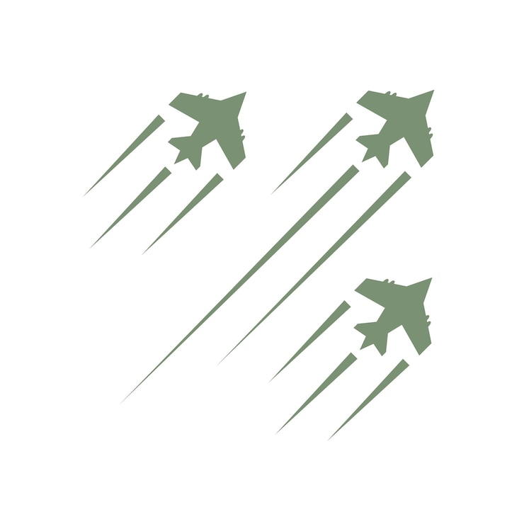 Vector vliegtuig van de luchtmacht