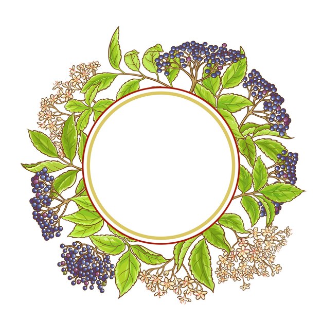 vlierbessen tak vector frame op witte achtergrond