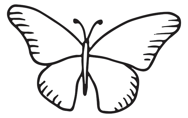 Vector vlinder doodle hand getrokken vliegende nachtvlinder pictogram
