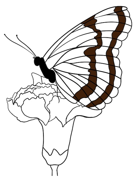 vlinder en bloem schets illustratie voor kleurboek