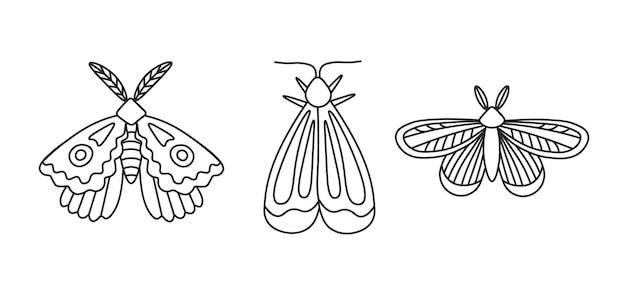 Vlinder en mot Doodle Vector Set