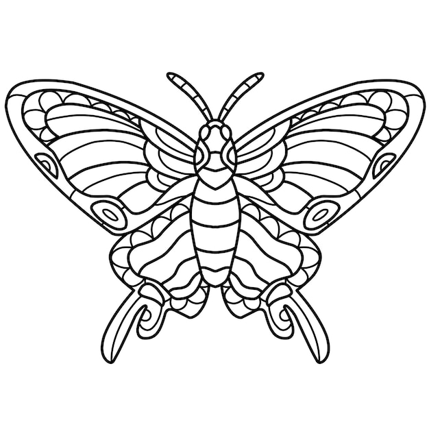 Vector vlinder kleurboek zentangle geïsoleerd op witte achtergrond
