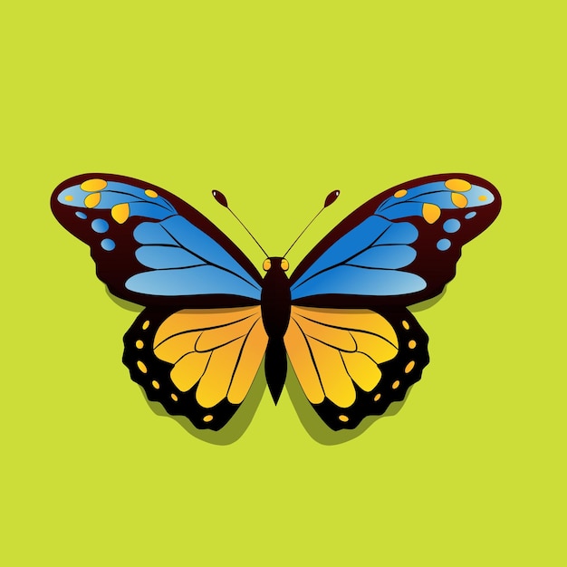 Vlinder oranje-blauwe kleur illustratie logo vector op groene achtergrond