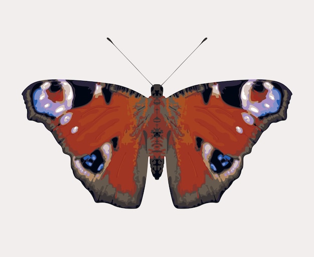Vector vlinder pauw oog
