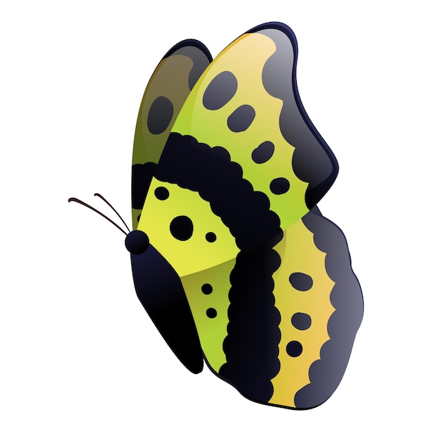Vector vlinder realistisch