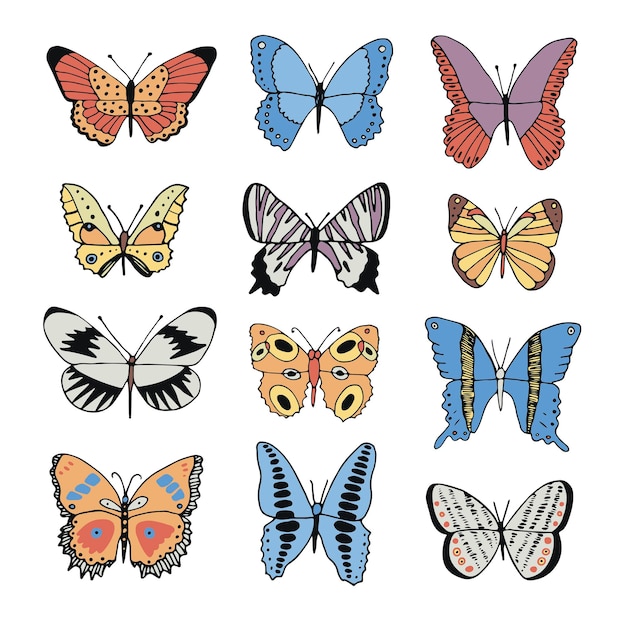 Vlinder vector collectie illustraties set