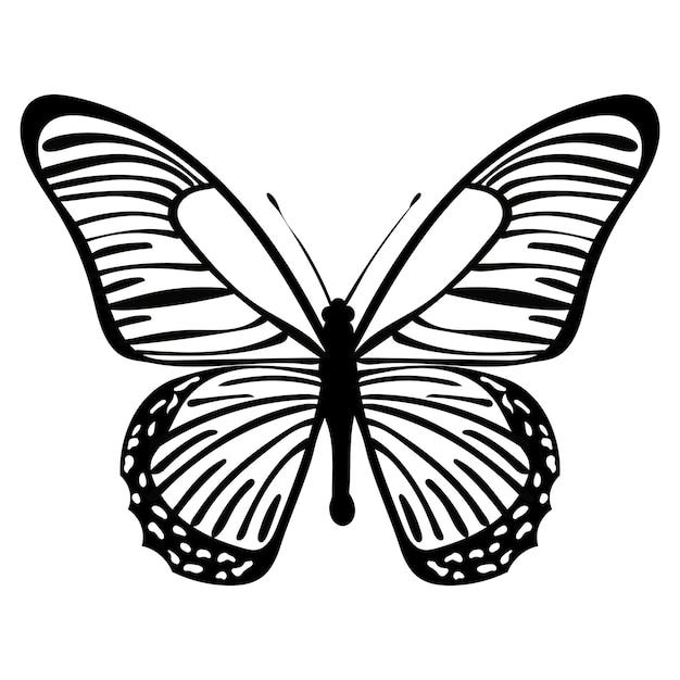 Vector vlinder zwarte silhouet geïsoleerde vector
