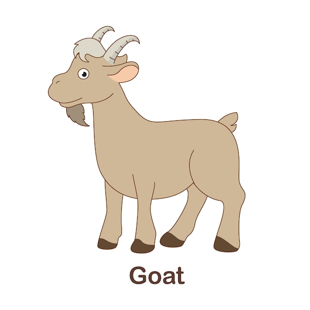 Vocabulary flash card for kids. goat with picture of goat