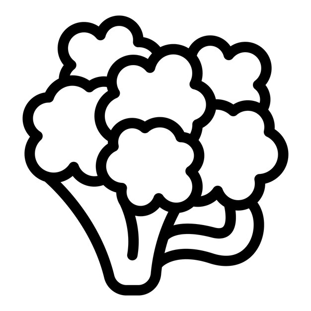 Voedsel bloemkool icoon omtrek vector Gezonde vitamine
