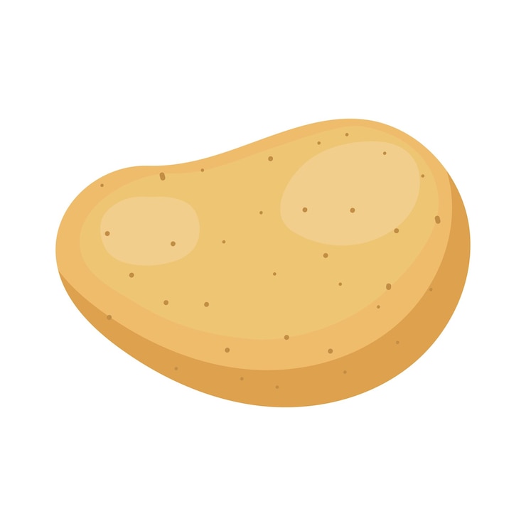 Vector voedsel groente aardappel