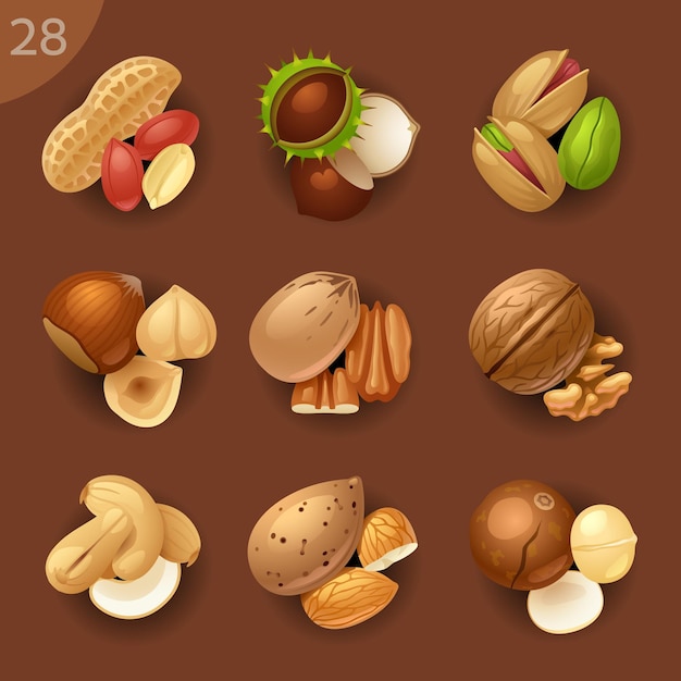 Voedselingrediënten vector icon set 28 Nuts