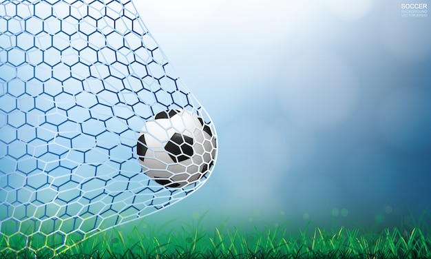 Voetbal in doel. Voetbalbal en wit net met licht vage bokeh achtergrond.