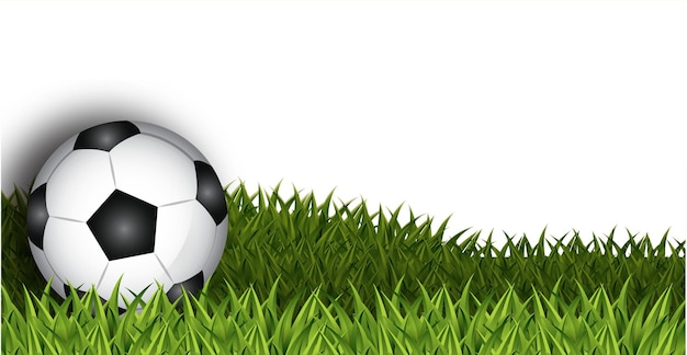 Voetbal op groen gras vectorillustratie.