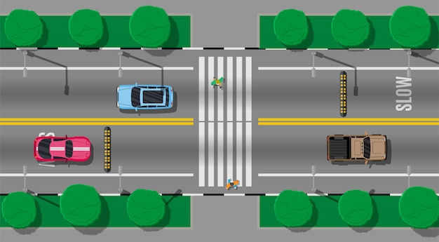 Voetgangersoversteekplaats met verkeersdrempel.