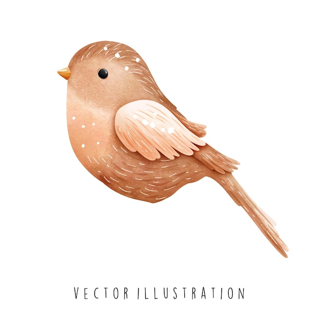 Vector vogel aquarel