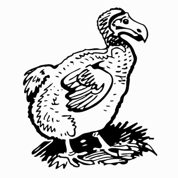 Vogel Dodo