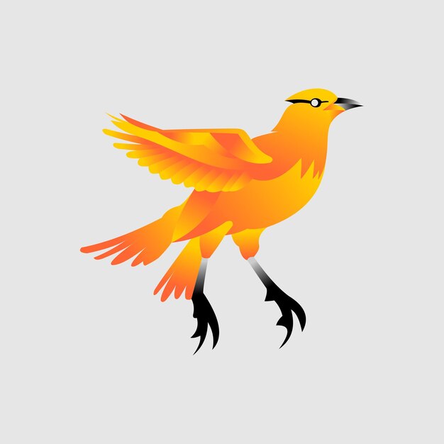 Vector vogel logo ontwerp vector sjabloon