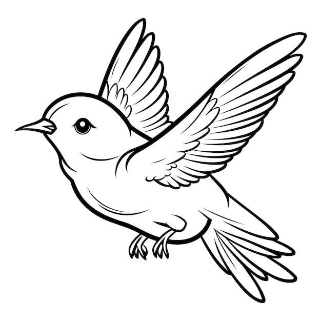 Vector vogel met gevleugelde zwart-witte kleuren