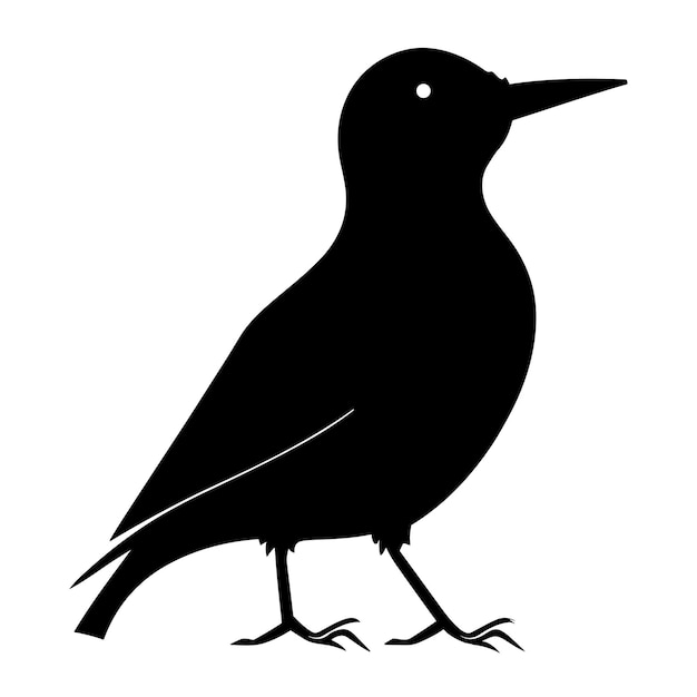 Vogel silhouet ontwerp op witte achtergrond Vector