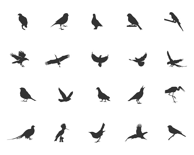 Vogel silhouet Vliegende vogel silhouet Vogel silhouetten Vogel clipart Vogel vector set Vector elementen