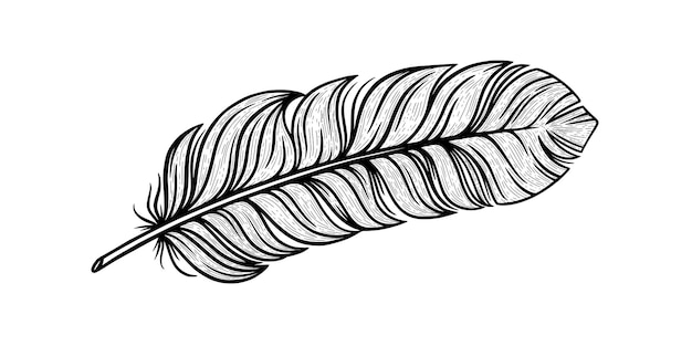 Vogel veer schets Tribal decoratieve veer geïsoleerd op een witte achtergrond Vector illustration