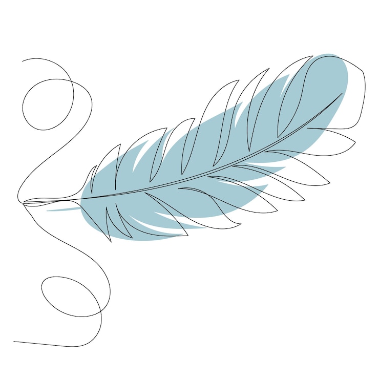 Vector vogel veer tekening schets, vector, geïsoleerd