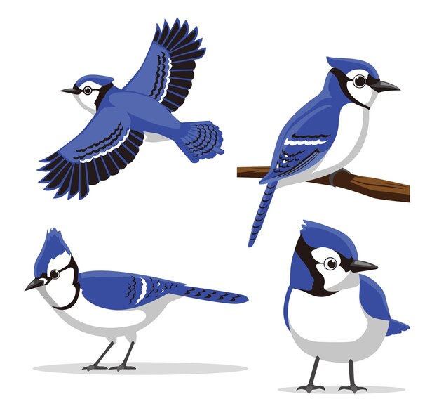 Vogelillustratie vector