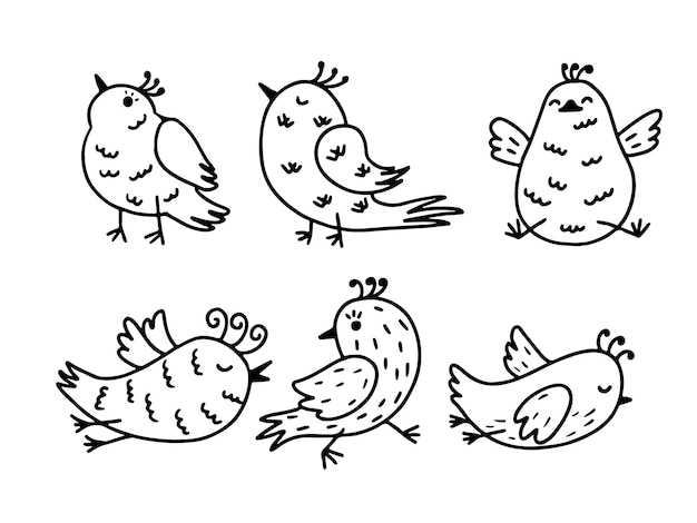 Vogels collectie Set van schattige hand getrokken vogels in doodle stijl Zwart op wit vector set